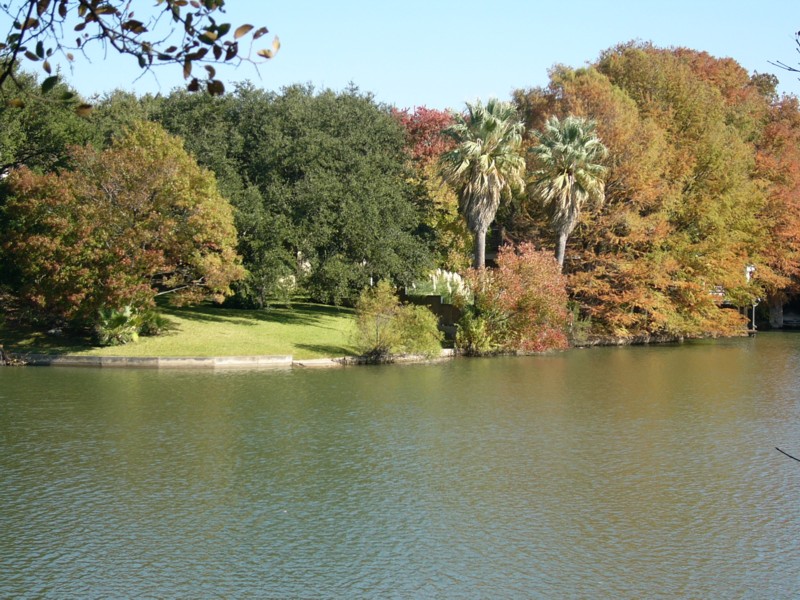 Palms across lake.JPG